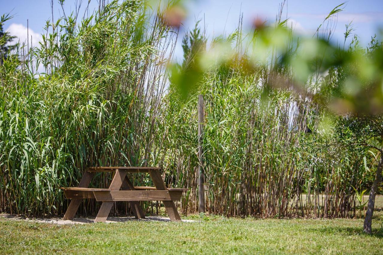 Le Petit Viala Villa Capestang Kültér fotó