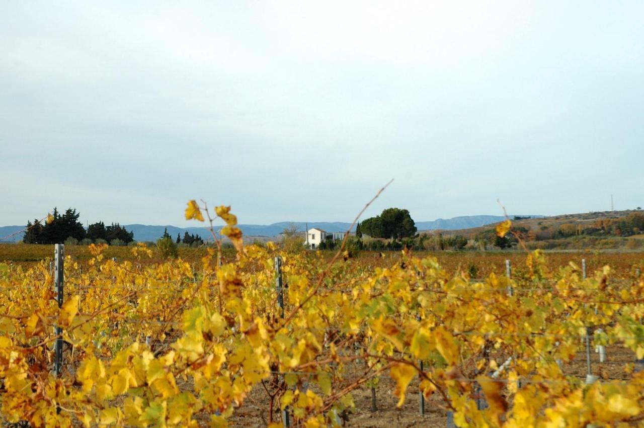 Le Petit Viala Villa Capestang Kültér fotó